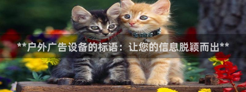 杏宇平台总代理电话：**户外广告设备的标语：让您的信息脱颖而出**