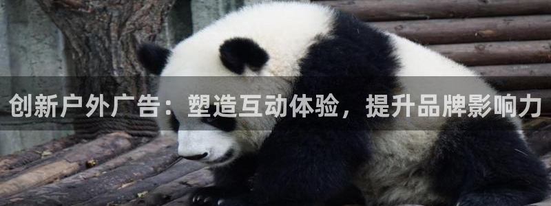 杏宇平台总代理：创新户外广告：塑造互动体验，提升品牌影响力