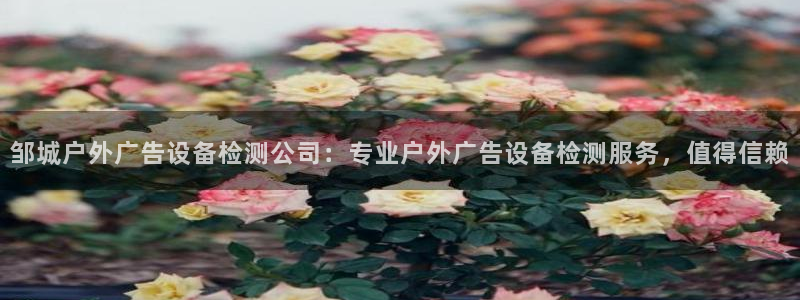 杏宇平台登陆：邹城户外广告设备检测公司：专业户外广告设备检测服务，值得信赖