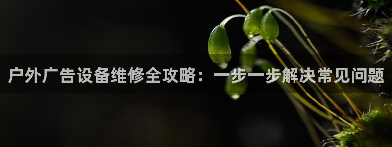 杏宇平台注册登录：户外广告设备维修全攻略：一步一步解决常见问题