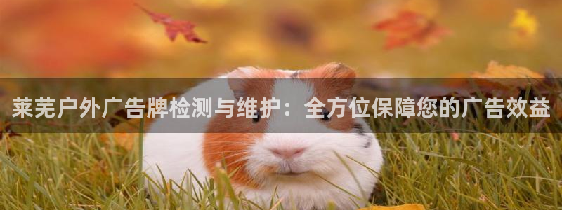 杏宇平台登陆：莱芜户外广告牌检测与维护：全方位保障您的广告效益
