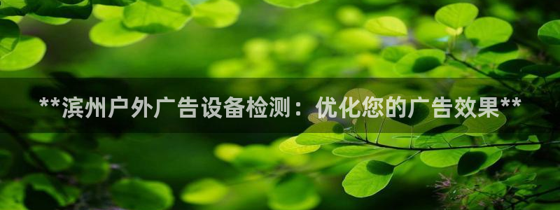 杏宇平台开户：**滨州户外广告设备检测：优化您的广告效果**