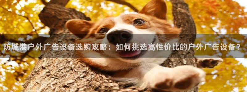 杏宇平台登录步骤图：防城港户外广告设备选购攻略：如何挑选高性价比的户外广告设备？
