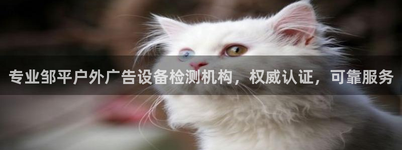 杏宇官方平台官网入口：专业邹平户外广告设备检测机构，权威认证，可靠服务