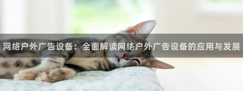 杏宇代理注册：网络户外广告设备：全面解读网络户外广告设备的应用与发展