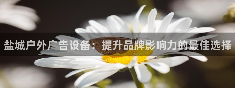杏宇平台代理多少钱一个：盐城户外广告设备：提升品牌影响力的最佳选择