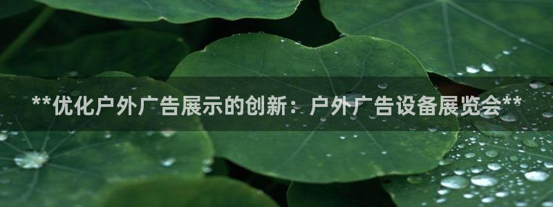 杏宇平台代理怎么赚钱的：**优化户外广告展示的创新：户外广告设备展览会**