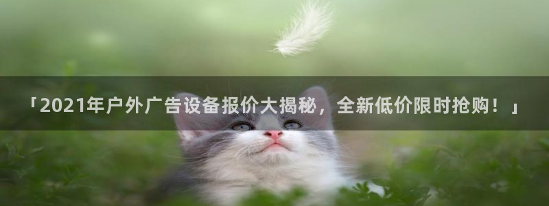 杏宇平台主管：「2021年户外广告设备报